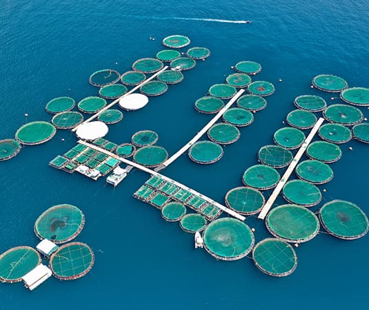 aquaculture fish farm Salmon cages
