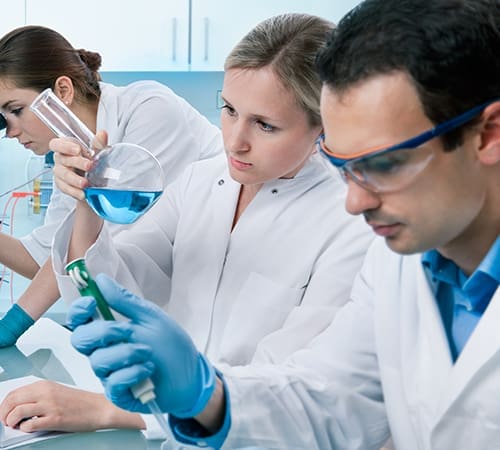A group of scientists working together in a lab